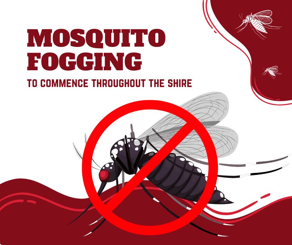 Mosquito Fogging